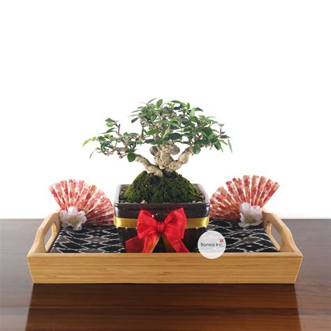 Gift Packaging (Japanese Style) – bonsai-inc