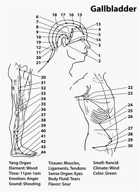 Gallbladder Acupuncture Points