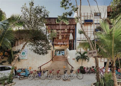 Mayan Monkey Hostel Tulum Tulum | Hotels in Despegar