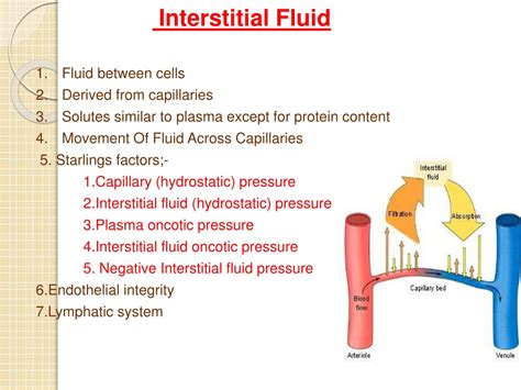 PPT - Interstitial Fluid Formation and Oedema By DR QAZI IMTIAZ RASOOL ...