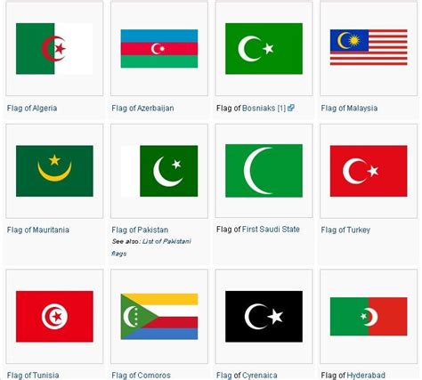 #FLAGS KNOWLEDGE flags of the world crescent moon and star #muslimsymbol #islamicsymbol | 国旗