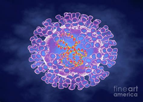 Pox Virus Photograph by Science Photo Library - Pixels