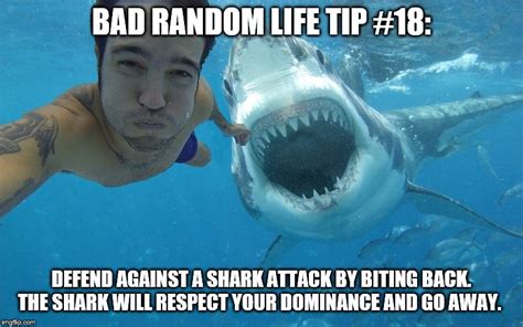 shark attack Memes - Imgflip