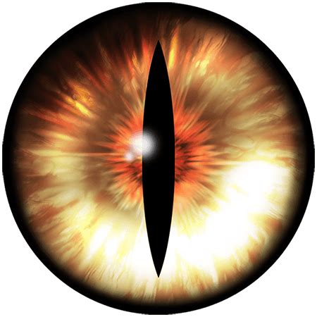 Eye Lens PNG High Quality Image - PNG All | PNG All