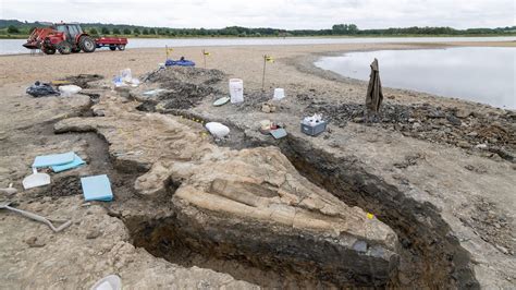 Rutland ichthyosaur: 10m-long 'sea dragon' skeleton is one of UK's 'greatest' dinosaur-era finds ...