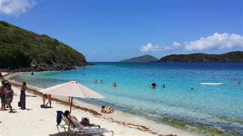 Coki Point Beach (Smith Bay) - 2019 All You Need to Know BEFORE You Go ...