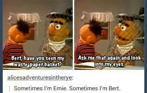 Sesame Street: 10 Hilarious (& Adorable) Bert And Ernie Memes