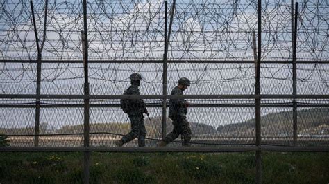 North Korean man caught by South after crossing border - BBC News