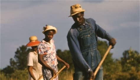 Sharecropping - Black History - HISTORY.com