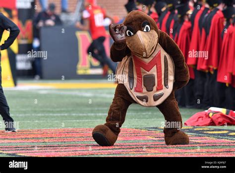 College Park, Maryland, USA. 25th Nov, 2017. Maryland Terrapins mascot ...