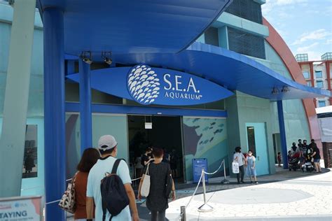 S.E.A. Aquarium : What To Expect and What To Do - Klook Travel Blog