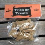 DIY Halloween Pet Treat Bags - Staying Close To Home