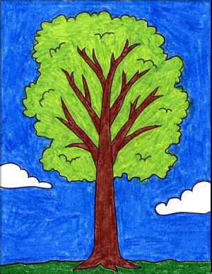 Easy How to Draw a Tree Tutorial Video and Tree Coloring Page