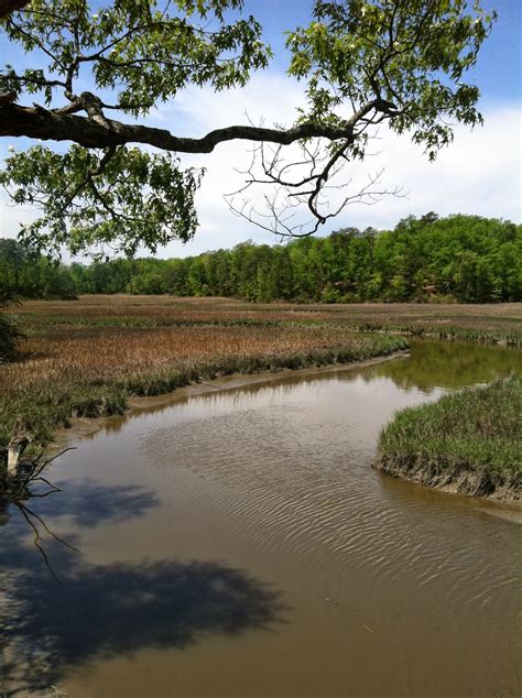 Visions of Virginia: York River State Park