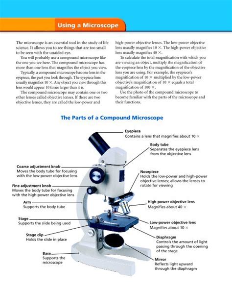 Compound Light Microscope Parts Definitions | Shelly Lighting