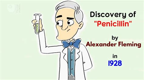 The accidental discovery of the miracle drug penicillin/Discovery of penicillin by Alexander ...