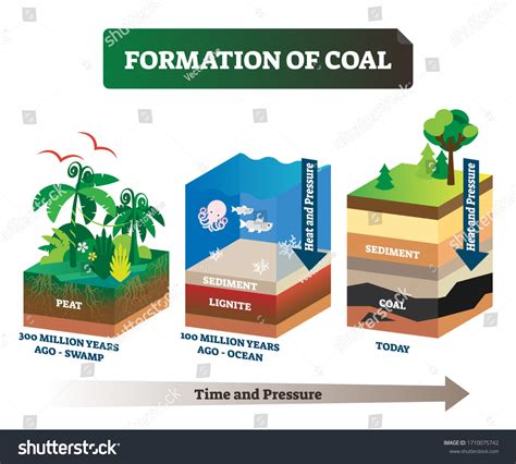 1,388 Formation Of Coal Images, Stock Photos & Vectors | Shutterstock