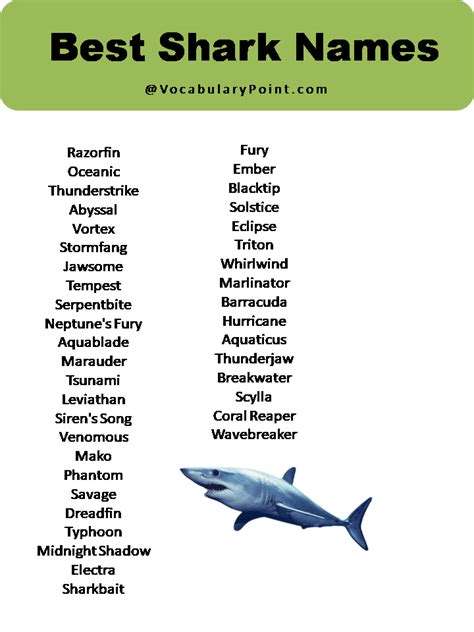 100 Shark Names | Shark names, Shark facts, Sharks scary