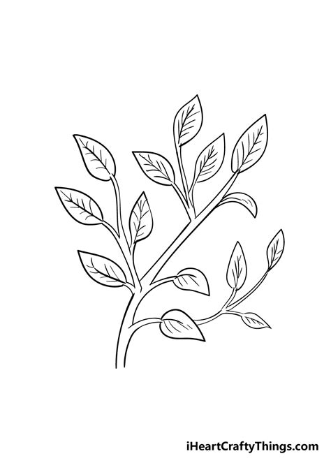 Leaves On A Tree Drawing - How To Draw Leaves On A Tree Step By Step