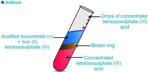 Brown Ring Test: Learn Definition, Reaction, Procedure & Uses