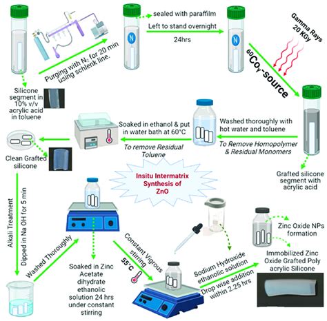 Scheme 1. Overview of the grafting copolymerization of acrylic acid ...