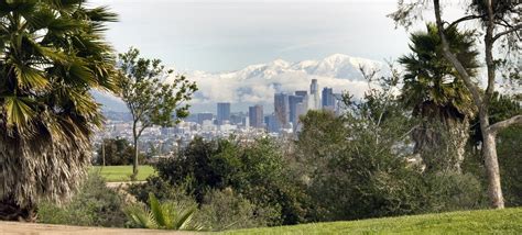 Los Angeles Snow View – "I Took That!"