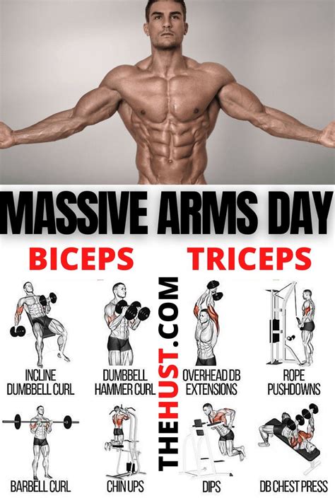 Best Back And Bicep Workout For Beginners - generatles