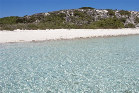 Iguana Island Bahamas: Bitter Guana Cay, home to the Bahamian Rock Iguanas