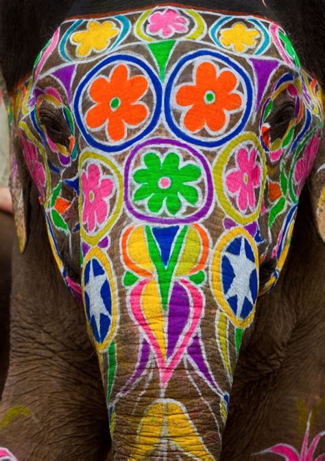 Indian Elephant Paintings