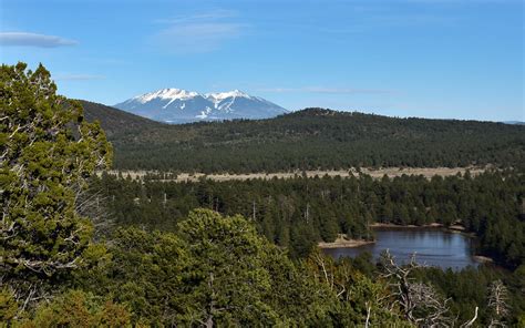 Best Hikes in Kaibab National Forest (AZ) - Trailhead Traveler