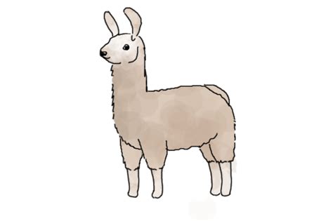 Download High Quality llama clipart transparent Transparent PNG Images ...