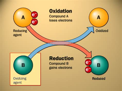 AS Chemistry - Redox Reactions and Group 2 Elements | Owlcation