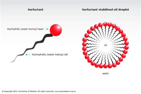 Surfactant ~ Detailed Information | Photos | Videos