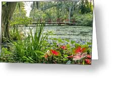 Magnolia Plantation Swamp Garden Photograph by Dustin K Ryan - Fine Art ...