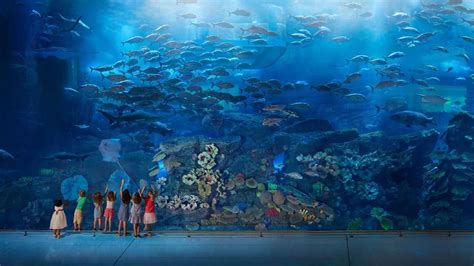 Dubai Aquarium & Underwater Zoo - tickets, prices, discounts, animals