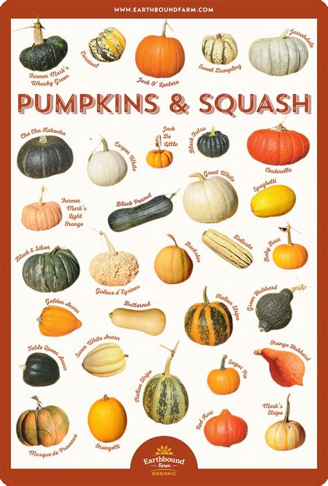 Downloads | Earthbound Farm | Pumpkin squash, Squash varieties, Pumpkin