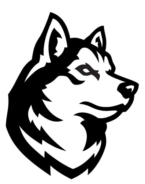 Northeastern unveils new athletics logos - Northeastern Global News