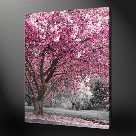 PINK BLOSSOM PREMIUM MODERN CANVAS PICTURE WALL ART MODERN DESIGN FREE ...