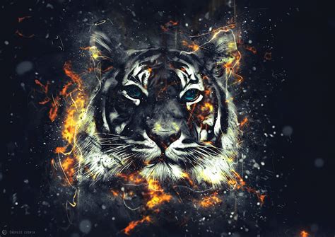 [600+] Tiger Wallpapers | Wallpapers.com