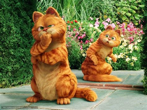 Download wallpaper Garfield 2: Tail of Two Kitties, Garfield: A Tail of ...