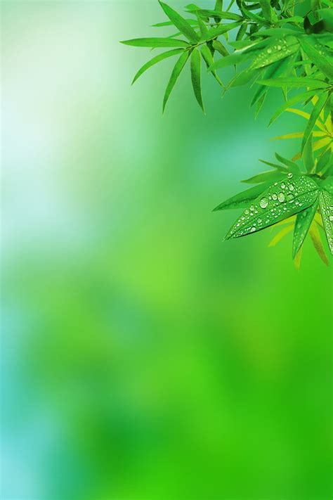 Simple Natural Green Leaf H5 Illustration Background Wallpaper Image For Free Download - Pngtree