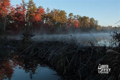 Pine Barrens – South Jersey Trails