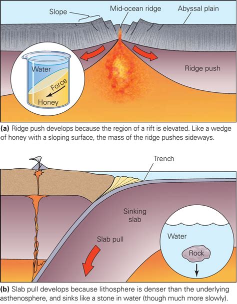 Learning Geology: What Drives Plate Motion, and How Fast Do Plates Move?