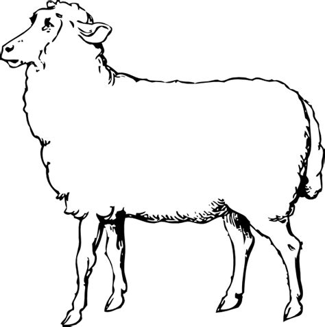 Sheep clip art Free vector in Open office drawing svg ( .svg ) vector ...