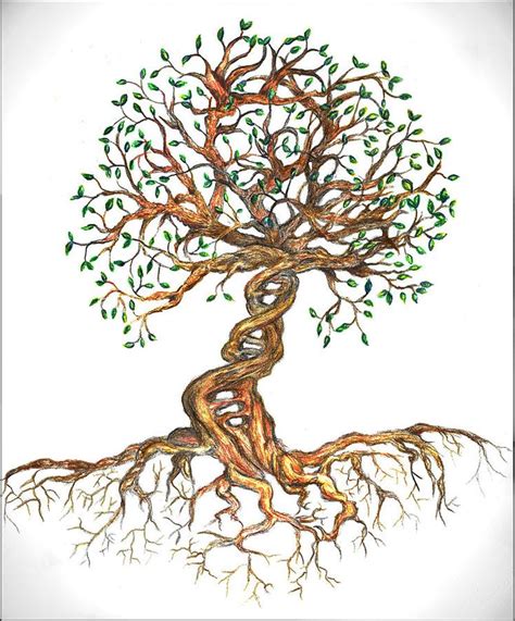 Tree Drawing - Dna Tree Of Life by Joanna Aud | Dna tree, Tree drawing ...