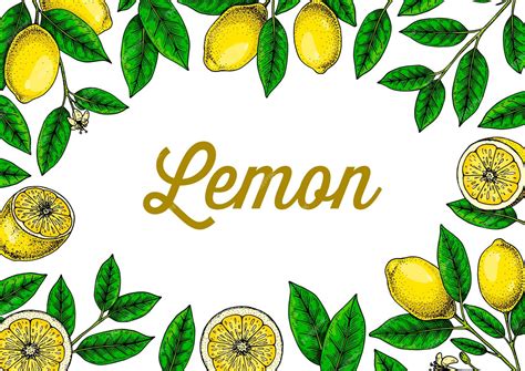 Premium Vector | Horizontal lemon background hand drawn colorful vector ...