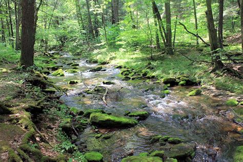 Sinnemahoning State Park In Austin, PA | America's State Parks