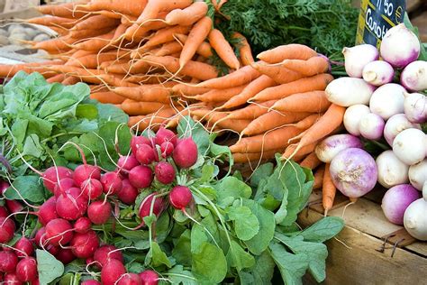 Vegetables for Fall Harvest -- Harvest to Table