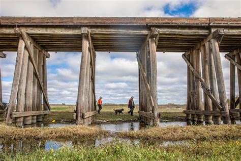 Bonnet Carré Spillway Rail Bridge Reconstruction Environmental Services | HDR