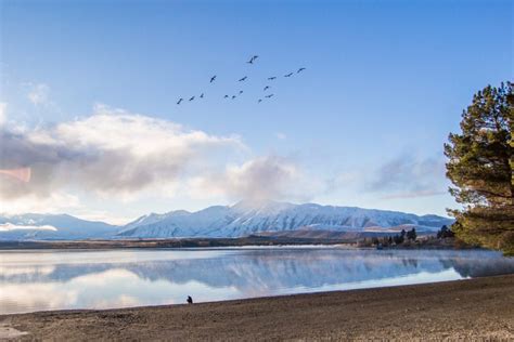 New Zealand South Island Attractions You Must See On Your Road Trip | Bel Around The World